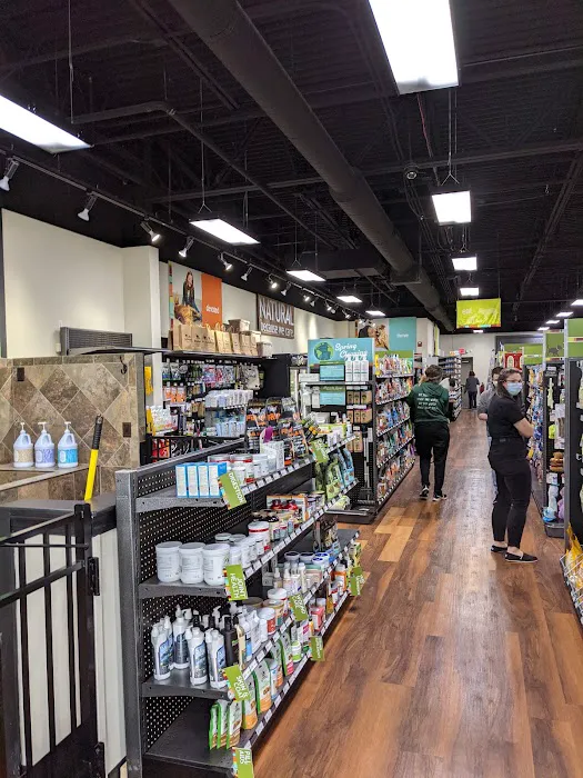 Hollywood Feed Picture 5