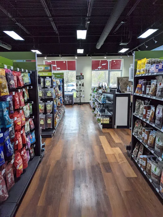 Hollywood Feed Picture 4