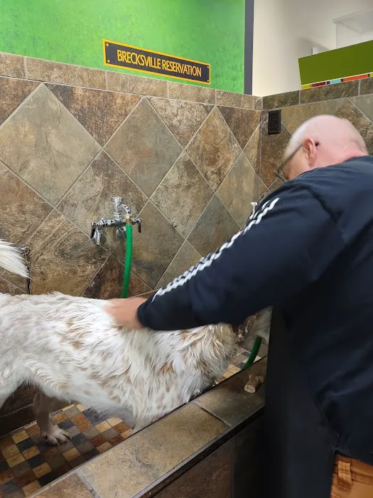 Hollywood Feed Picture 2