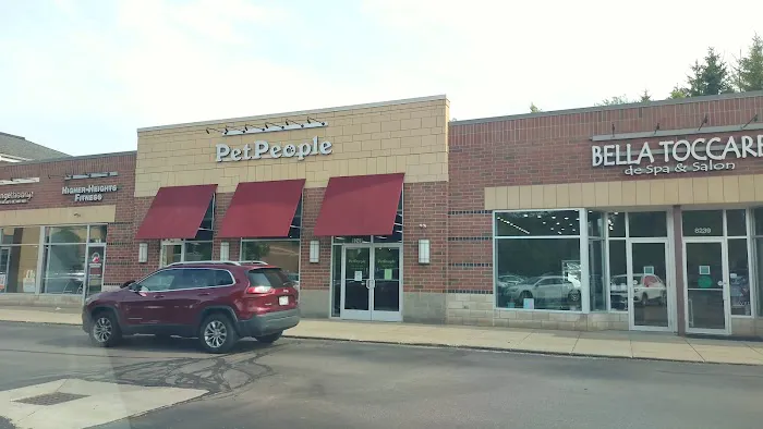 Hollywood Feed Picture 7