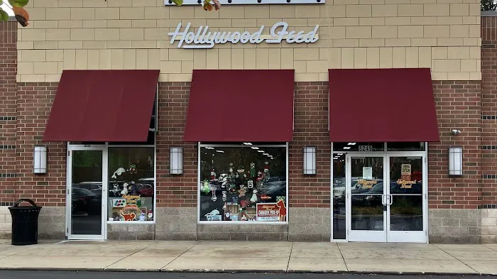 Hollywood Feed Picture 8