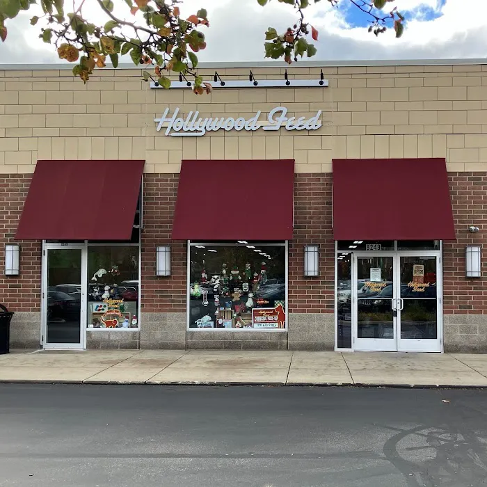 Hollywood Feed Picture 10