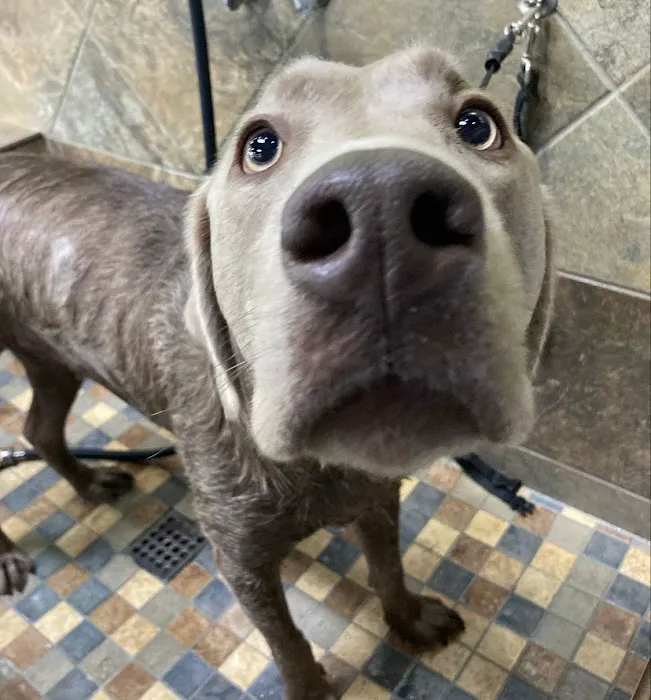 Hollywood Feed Picture 9