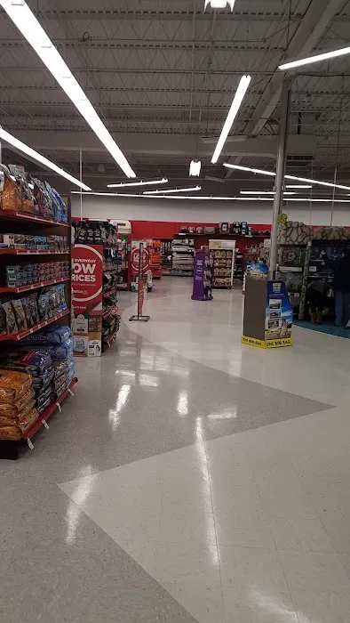 Petco Picture 4