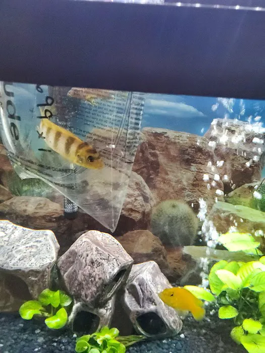 Petco Picture 2