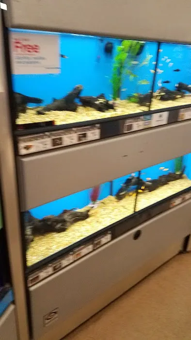 Petco Picture 9