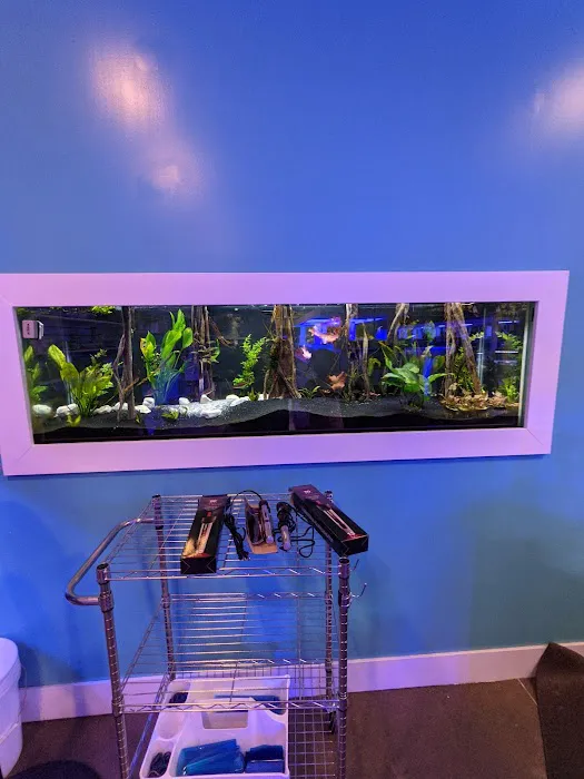 Great Lakes Fish and Coral Picture 3