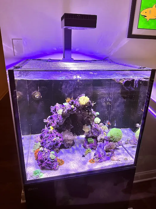 Great Lakes Fish and Coral Picture 6