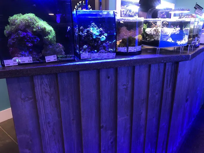 Great Lakes Fish and Coral Picture 5