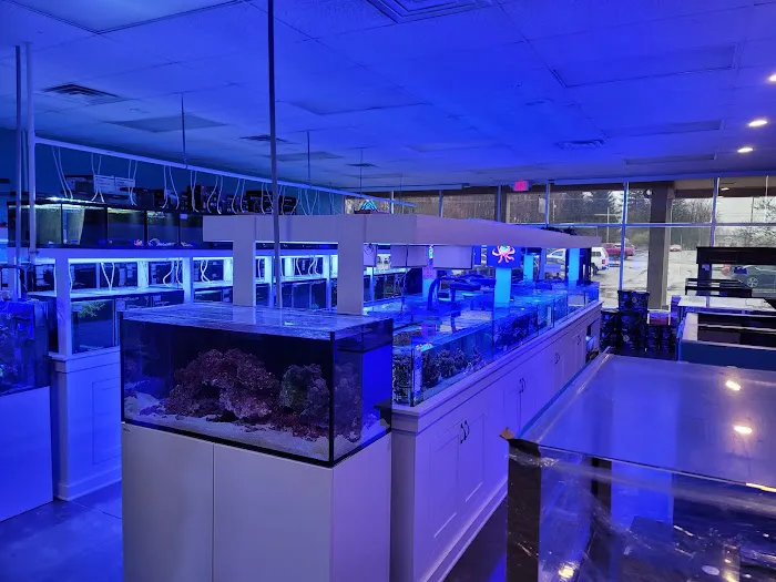 Great Lakes Fish and Coral Picture 10