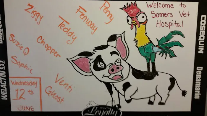 Somers Veterinary Hospital Picture 4