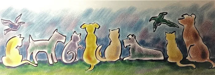 Somers Veterinary Hospital Picture 7