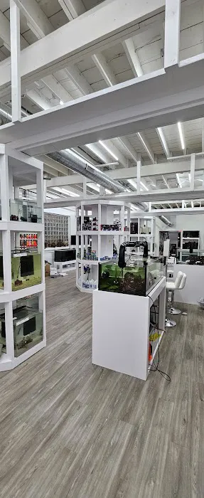 Cleveland Aquatic Gems Picture 1