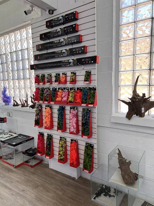 Cleveland Aquatic Gems Picture 3