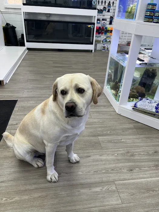 Cleveland Aquatic Gems Picture 9