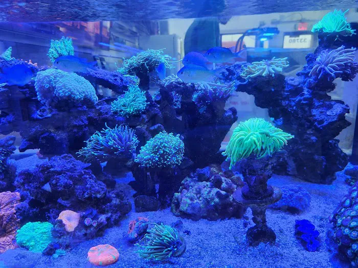 Cleveland Aquatic Gems Picture 4