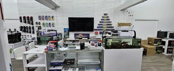 Cleveland Aquatic Gems Picture 8