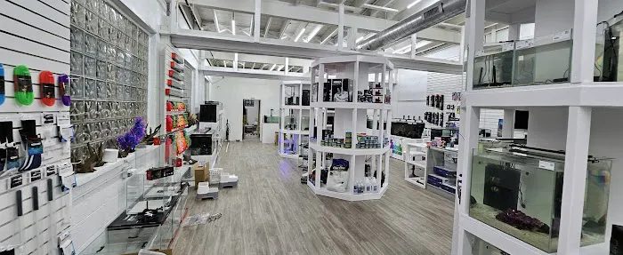 Cleveland Aquatic Gems Picture 6