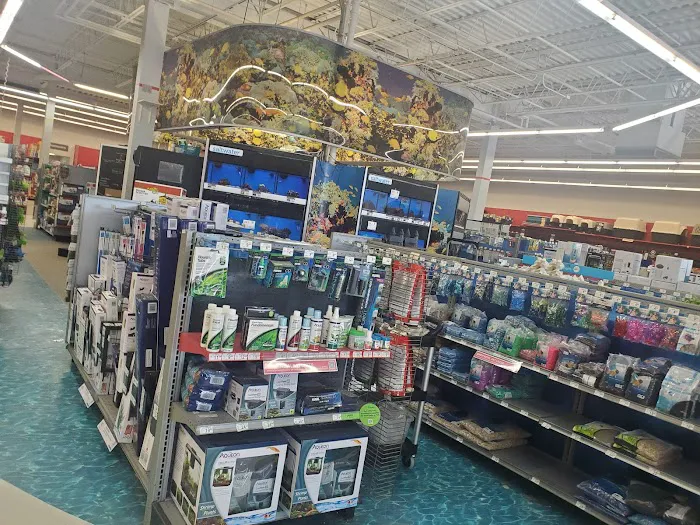 Petco Picture 8