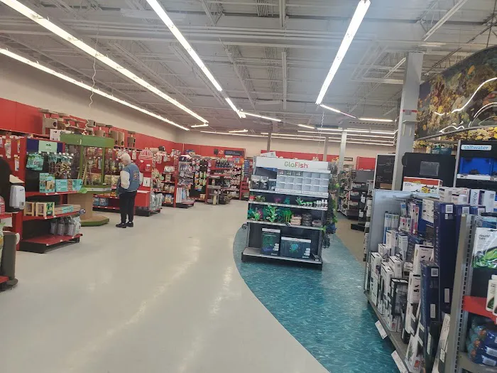 Petco Picture 2