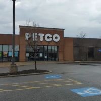 Petco ico