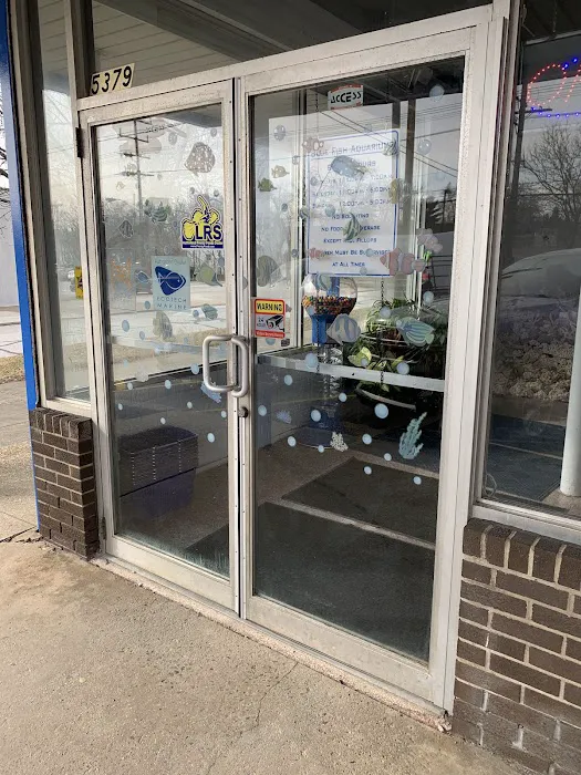 Blue Fish Aquariums Picture 1