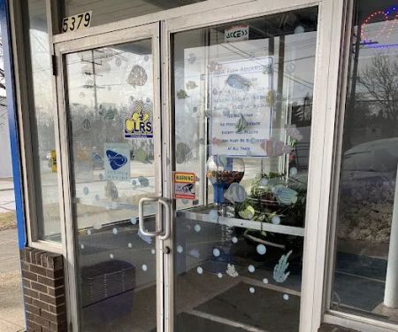 Blue Fish Aquariums