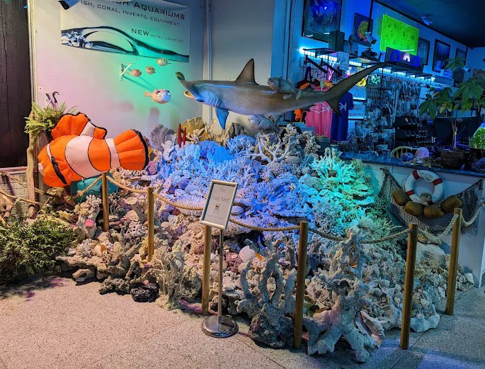 Blue Fish Aquariums Picture 3