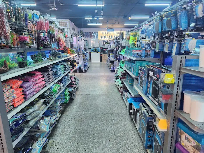 Blue Fish Aquariums Picture 7