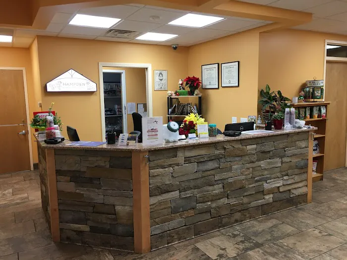 Hampden Veterinary Clinic Picture 7
