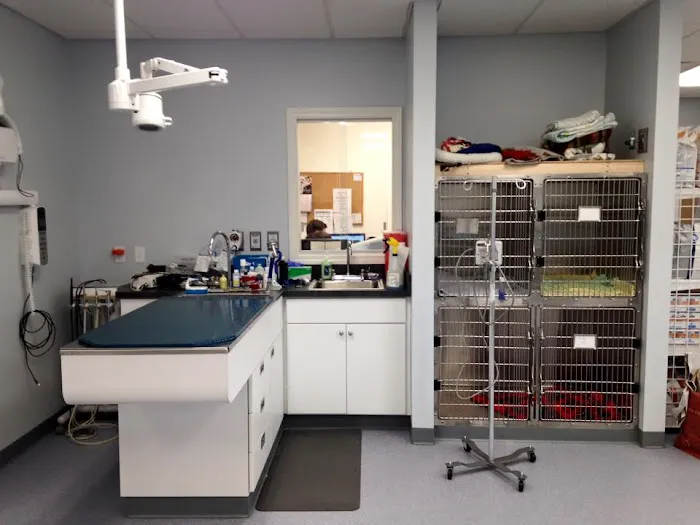 Hampden Veterinary Clinic Picture 2