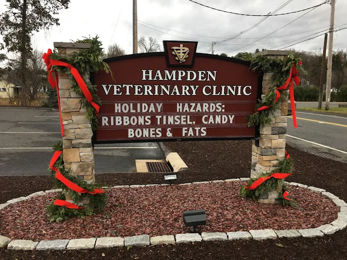 Hampden Veterinary Clinic Picture 9