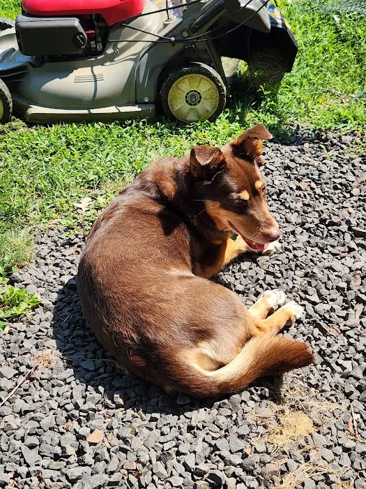 Hampden Veterinary Clinic Picture 10