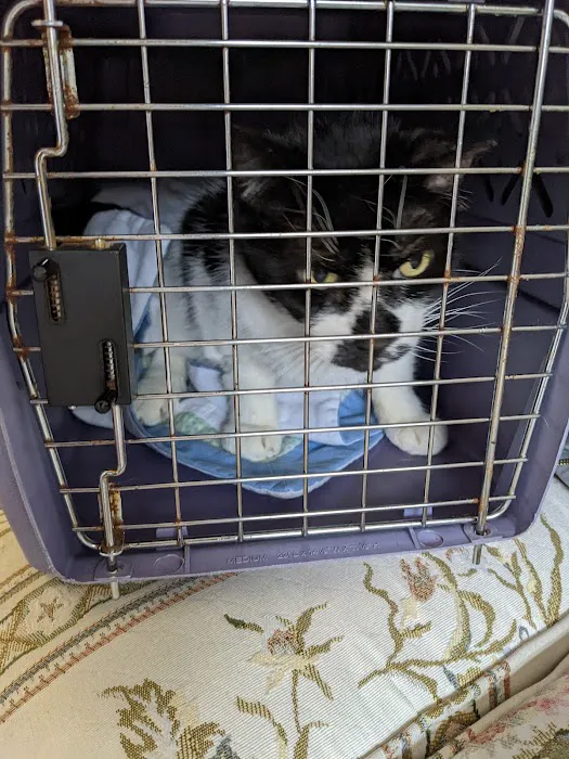 Monson Animal Clinic Picture 4