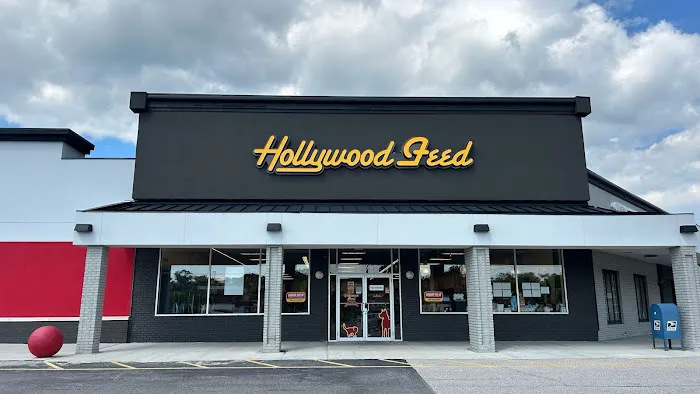 Hollywood Feed Picture 8