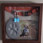 Connecticut Mobile Veterinary Services, LLC