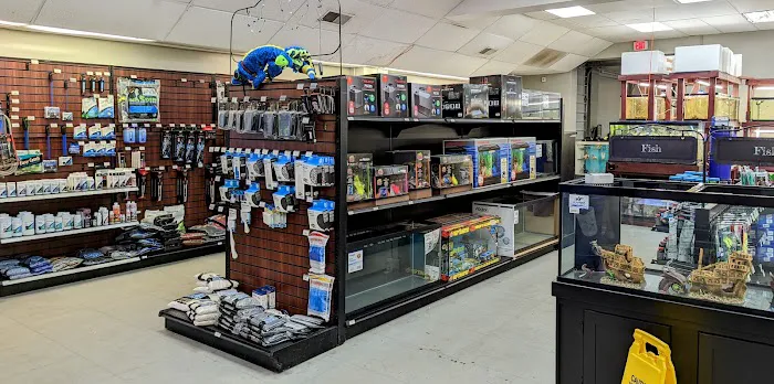 Rainy Day Fish LLC Picture 1