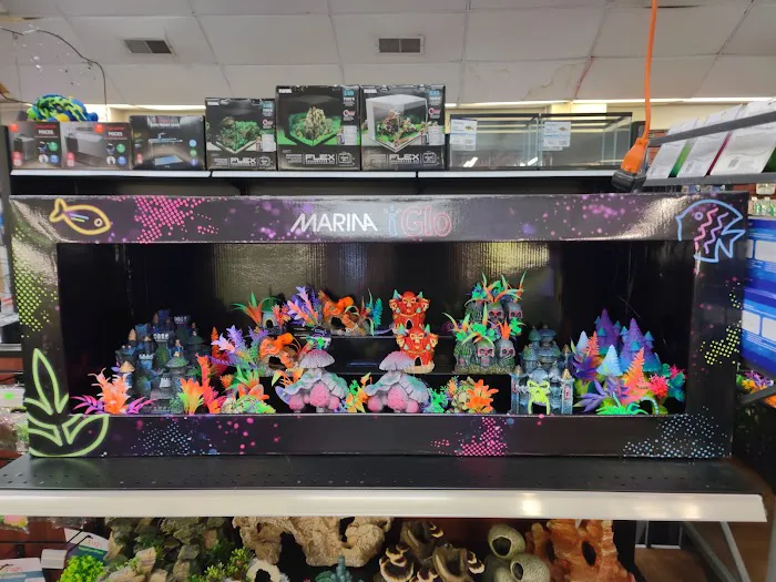 Rainy Day Fish LLC Picture 5