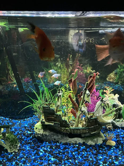 Rainy Day Fish LLC Picture 7