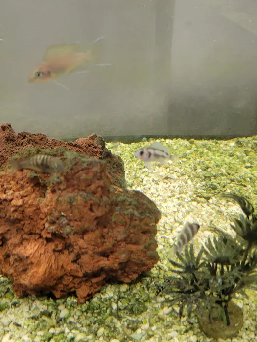 Rainy Day Fish LLC Picture 8