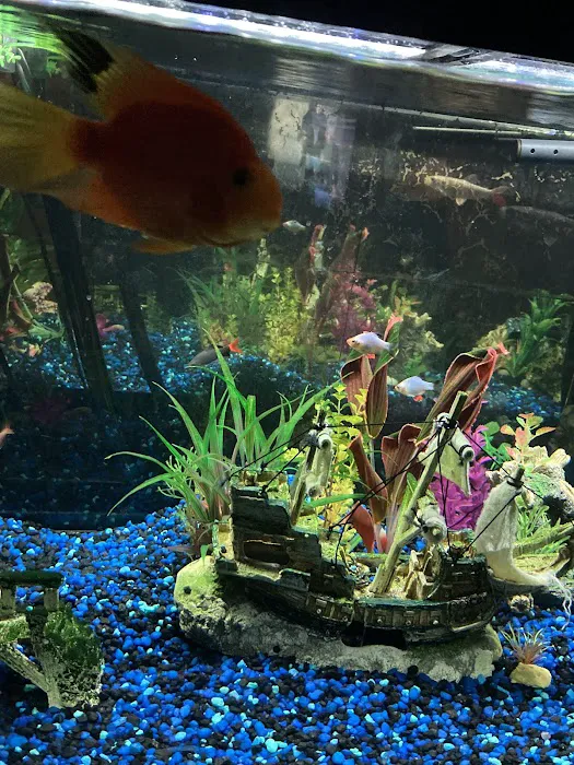 Rainy Day Fish LLC Picture 6