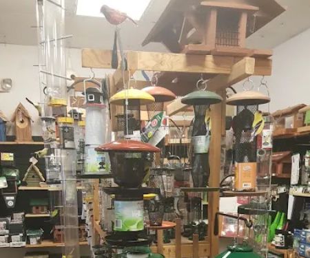 Backyard Nature Co