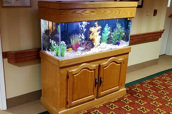 Aquarium Services Inc. Picture 5