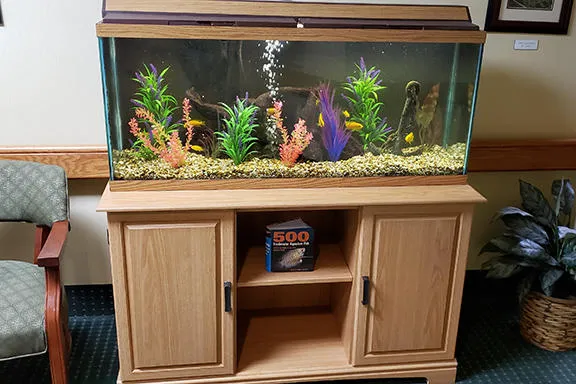 Aquarium Services Inc. Picture 4