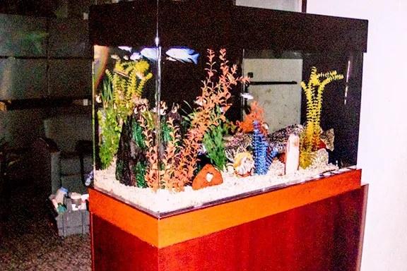 Aquarium Services Inc. Picture 2