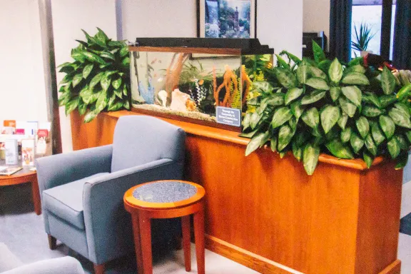 Aquarium Services Inc. Picture 8