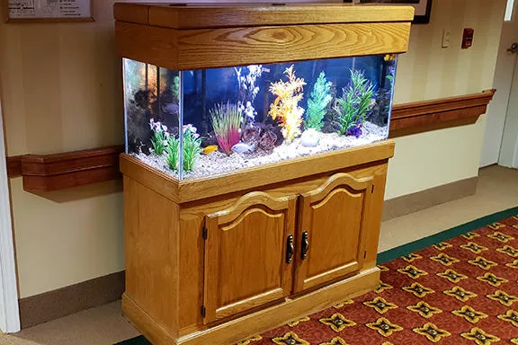 Aquarium Services Inc. Picture 10