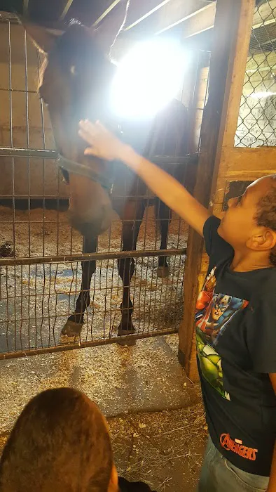 Stewart Equine Clinic Picture 1