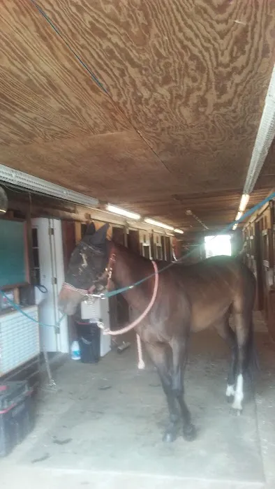 Stewart Equine Clinic Picture 7