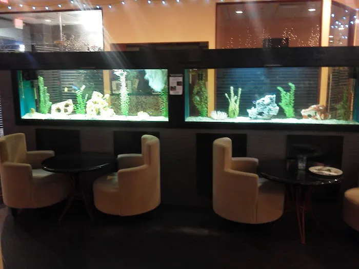 Ryan's Aquarium Cleaning Picture 1